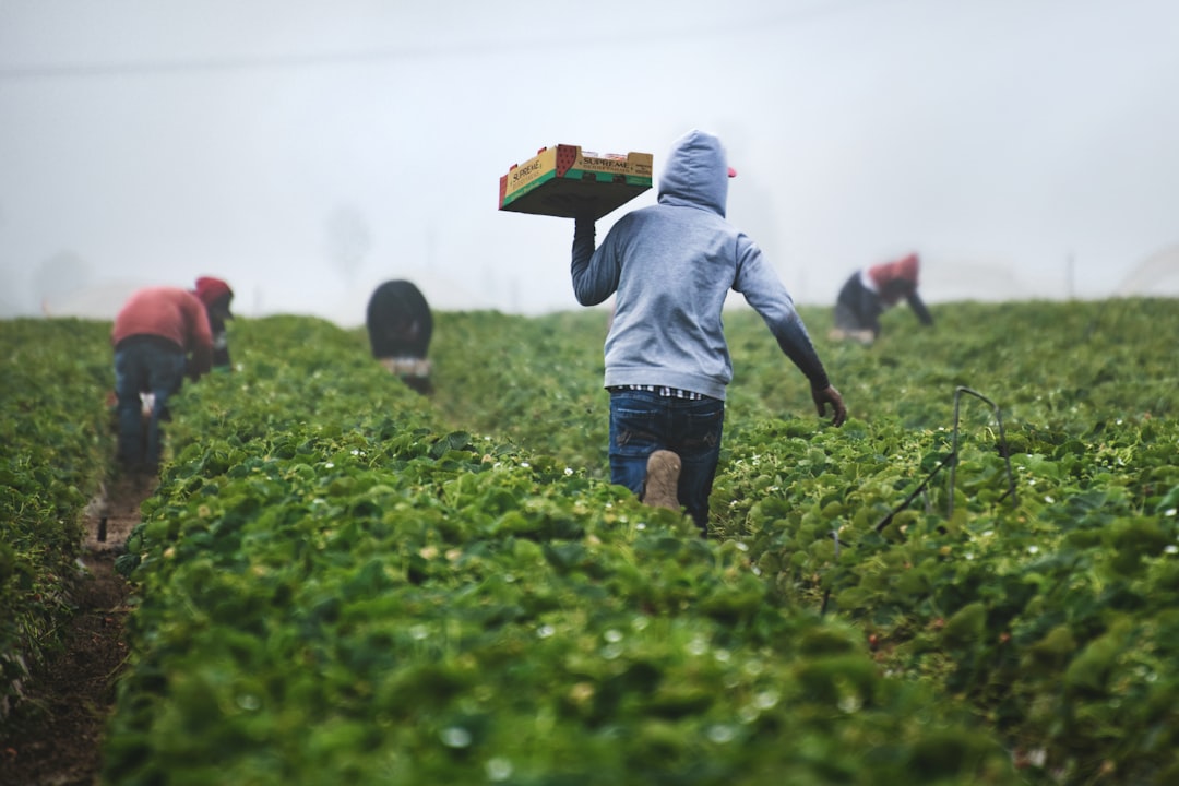 Diverse group of Brazilian agricultural technicians and farmers examining AI interface on large curved monitor in modern farm control room, dramatic ambient backlighting, holographic South American ma