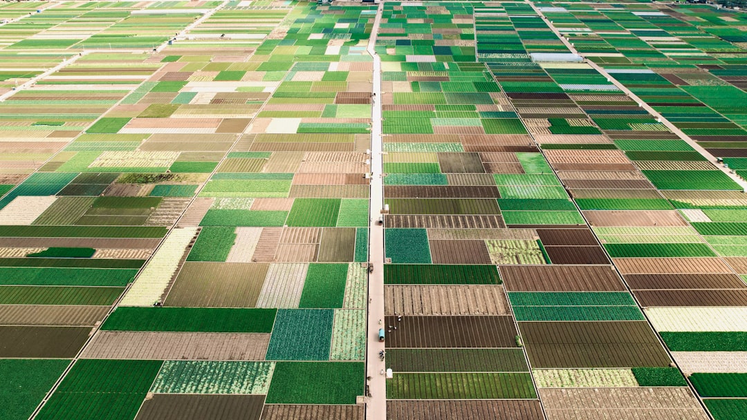 Futuristic supply chain visualization with holographic floating data connecting farm fields to modern supermarket, ambient blue lighting, professional logistics dashboard interface