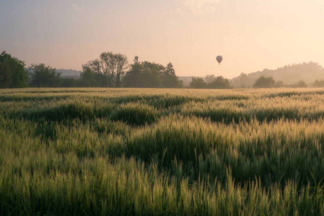 Holographic customer journey map floating above golden wheat field at golden hour, sleek data visualization with personalized marketing touchpoints, professional agronomist hand interacting with trans