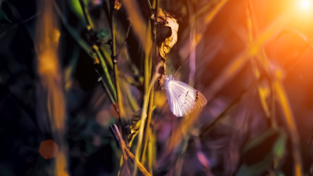 Split composition: glowing microchip detail merging with calm nature landscape, dramatic contrast lighting, AI ethics concept, balanced warm and cool tonesonk tones, thoughtful professional tech aesth