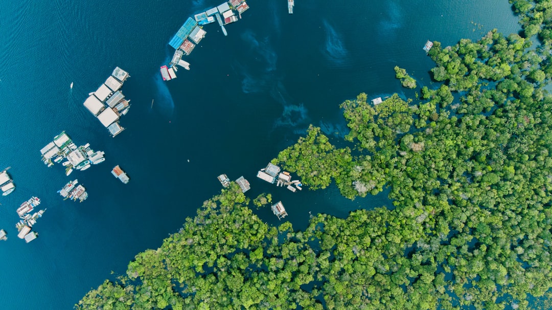 Satellite view of remote Amazon region with solar-powered digital infrastructure, glowing data connections, rugged terrain, ambient twilight, professional documentary style