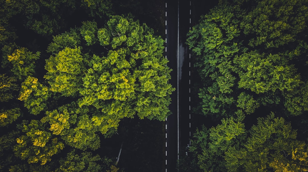 Aerial view of sustainable data center surrounded by lush Amazon greenery, solar panels integrated into sleek futuristic architecture, holographic green energy metrics floating, clean modern facility,
