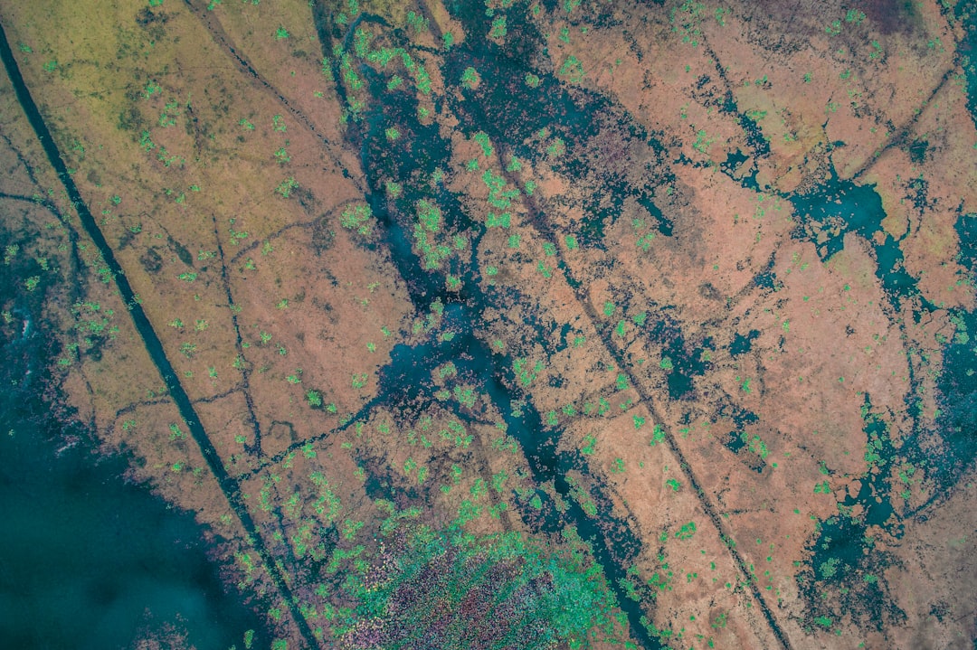 IA e Geopolítica: A Liquidez do Campo que a Tecnologia Está Secando