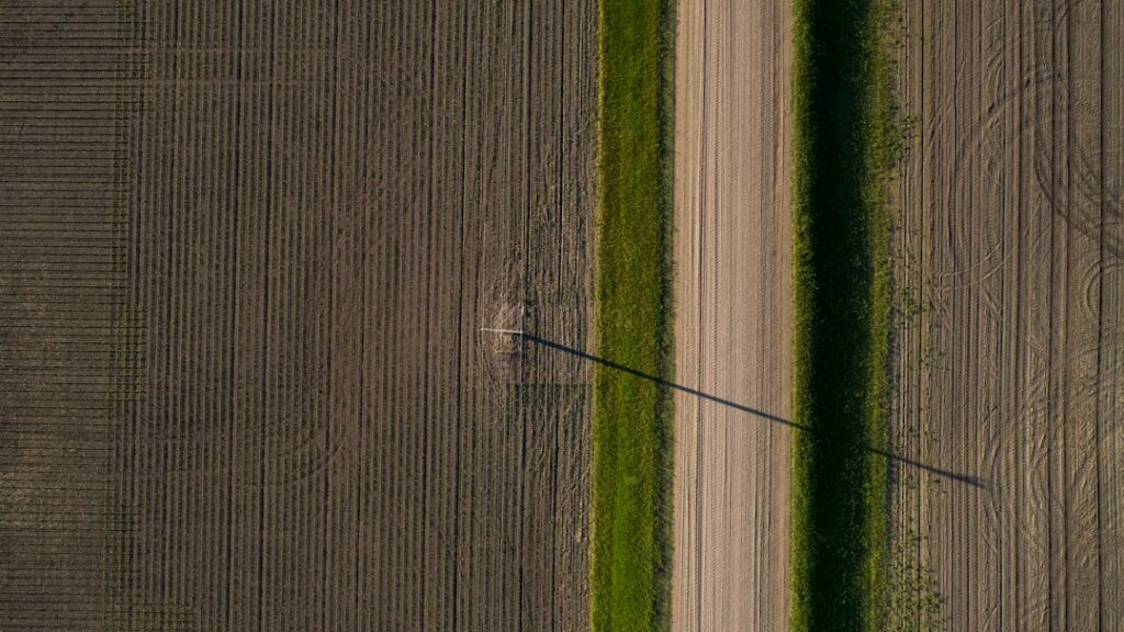 Futuristic aerial view of decentralized network nodes connecting across a rural Minnesota landscape, holographic data streams, ambient blue lighting, human silhouette observing, sleek tech meets natur