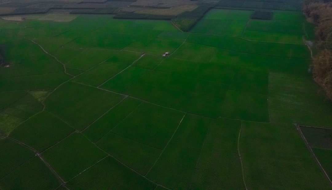 Futuristic drone scanning lush green crop fields at golden hour, holographic data overlay showing soil analytics, farmer with tablet, sleek ambient lighting, precision agriculture technology concept