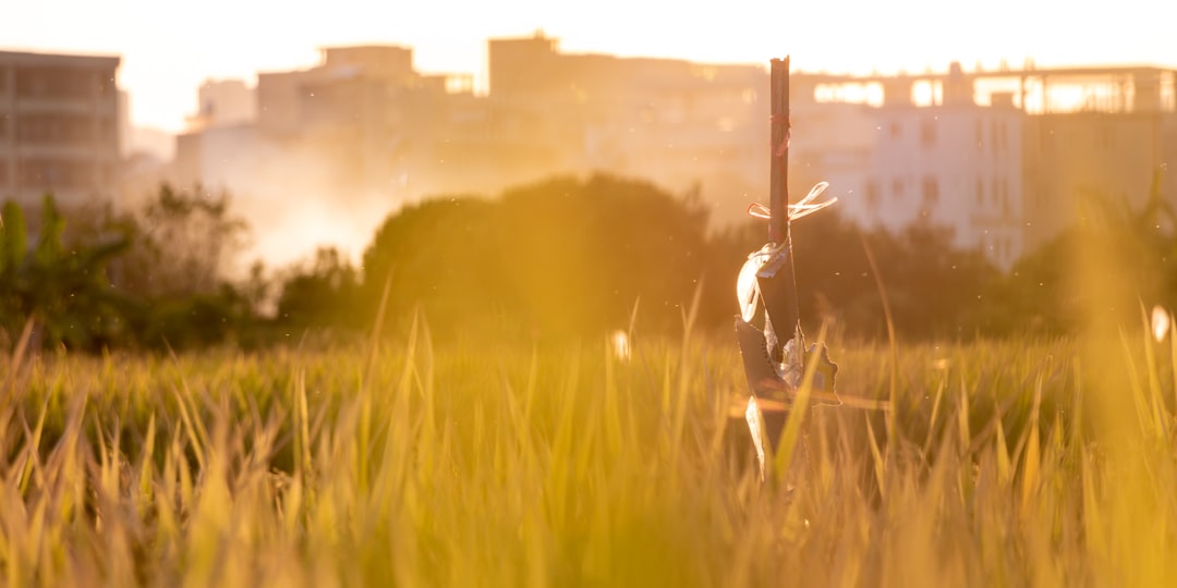 Tropical farmer examining drought-stressed crops under harsh sun, split composition with holographic weather data overlay, warm amber and deep green tones, cinematic documentary style