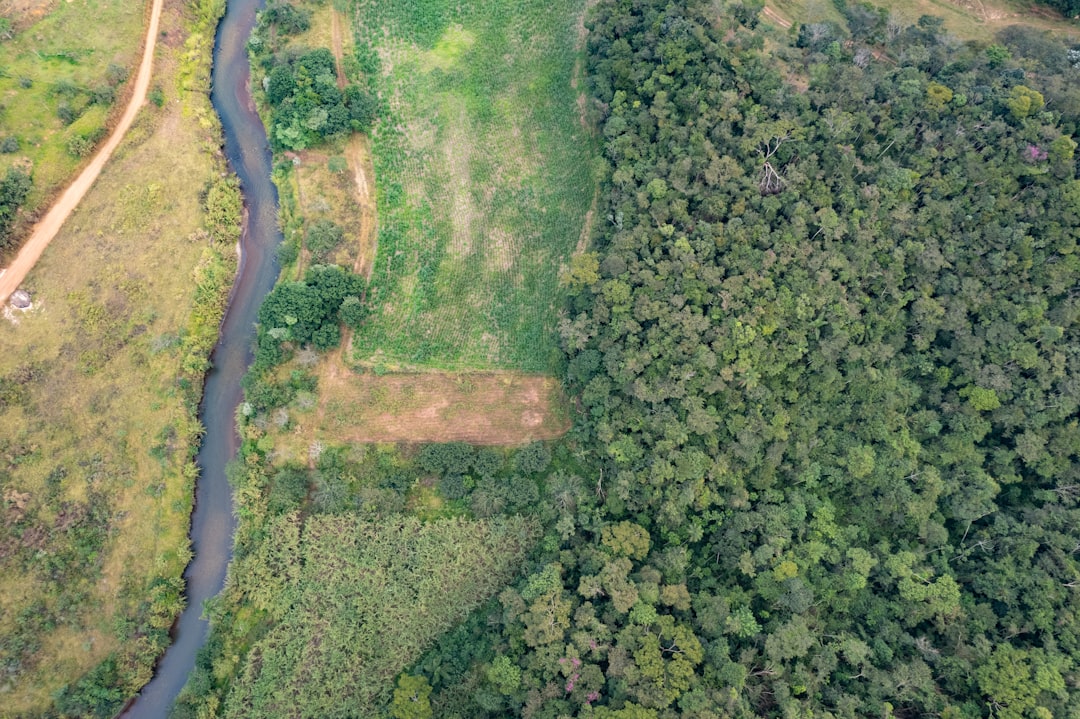 Lush Brazilian agricultural landscape with precision drone swarm overhead, holographic crop data overlay on tablet, professional agronomist silhouette, golden hour ambient lighting, green technology a